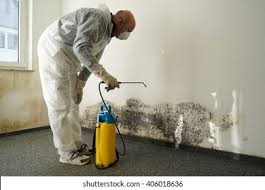 Mold Odor Removal Services